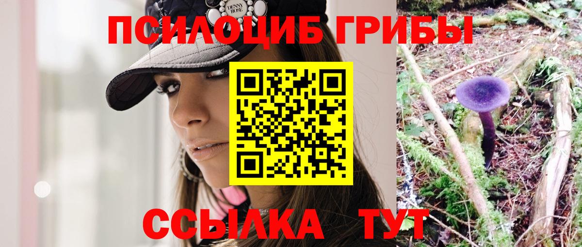Псилоцибиновые грибы Psilocybe Сланцы