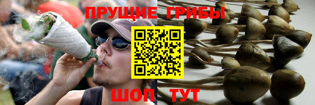 Галлюциногенные грибы ЛСД  Вход с VPN  Сланцы  Галлюциногенные грибы Cubensis 